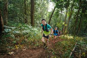 BIB: 
                            <button type="button" onclick="openModal(22450716)" class="btn btn-primary btn-sm float-right btn-popup" data-toggle="modal" data-target=".modal-high-quality">
                        <i class="fas fa-shopping-cart"></i> Add to Cart
                    </button>
                                            <button type="button" onclick="isThisMe(22450716, true)" class="btn btn-success btn-sm float-right btn-popup btn-isme hidden" data-toggle="tooltip" data-placement="bottom" title="นี่คือรูปของคุณใช่ไหม คลิกที่นี่เพื่อเอาเข้าอัลบั้ม">
                        <i class="fas fa-plus"></i> Add to album
                    </button>
                    <button type="button" onclick="isThisMe(22450716, false)" class="btn btn-warning btn-sm float-right btn-popup btn-isnotme hidden">
                        <i class="fas fa-ban"></i> Remove from album
                    </button>